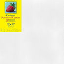 Strathmore 300 Series Trad Stretch Canvas 12X12