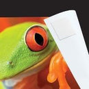Quick-Stick Photo Tabs 500 Pack