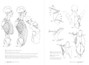 Morpho: Joint Forms And Muscular Functions: Print