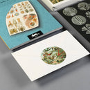 Pepin Label, Sticker & Tape Books: Art Nouveau