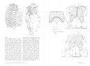 Morpho: Joint Forms And Muscular Functions: Print