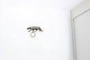 Eye Glass Magnetic Blouse attachment