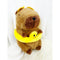 Cute Capybara Plush Toys: BROWN / ONE(1)