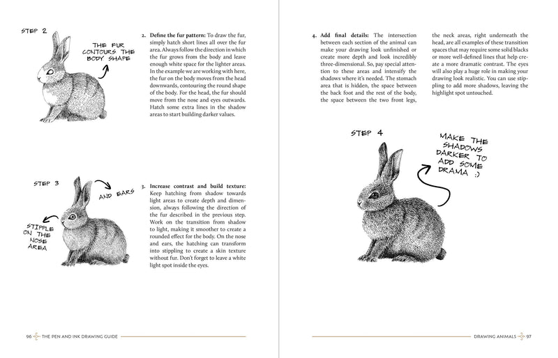 The Pen And Ink Drawing Guide: Print