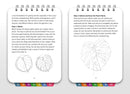 Crosshatching: Pocket Guide: Print