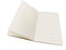 Ashmolean Museum Set of 3 Mini Notebooks