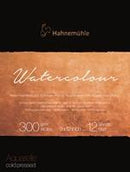 Collection Cotton Watercolor Pad 300GSM CP 12SH 9X12