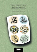 Pepin Label, Sticker & Tape Books: Japan Style