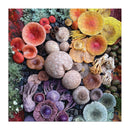 Shrooms in Bloom 500 Piece Puzzle