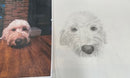 07.18.2026 Drawing Animals for Beginners