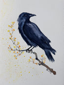 10.25.2026 Watercolor Crow