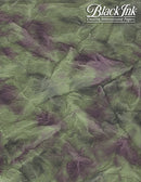 Himalayas -Rainforest