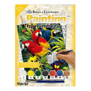 Painting by numbers™ 10pc 8.75" x 11.375" Majestic Macaws Painting Project
