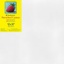 Strathmore 300 Series Traditional 12x12