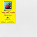 Strathmore 300 Series Traditional 6x6