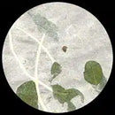 GPC - Raintree leaves – Smooth/ natural