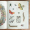 Cabinet of Curiosities by Smithsonian Institution