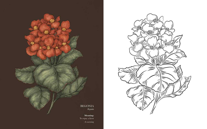 Floriography Coloring Book by Jessica Roux