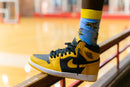 Beeware Socks: Black / One size