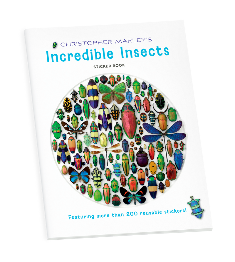 Christopher Marley's Incredible Insects Sticker Book