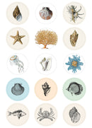 Pepin Label, Sticker & Tape Books: Natural History