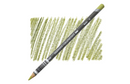 Derwent Graphitint Pencil - Meadow