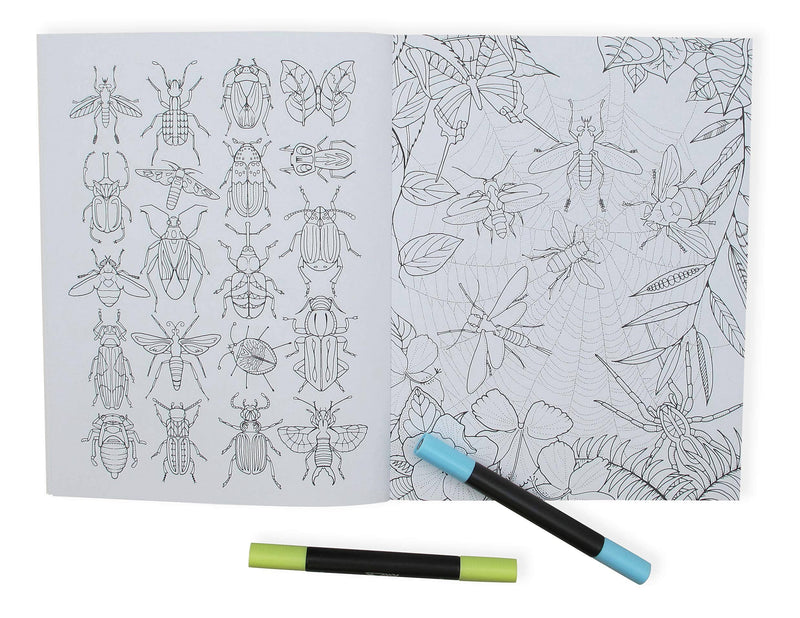 Wonderful Insects Coloring Book