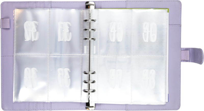 My 100 Envelope Savings Challenge Binder