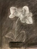 05.24.2025 Sketching with Charcoal