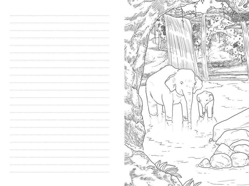 Thailand by Evie Carrick
