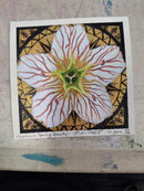 4x4 Art Show Pieces (1)