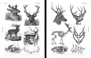 Animal Reference Book, an Image Archive for Artists