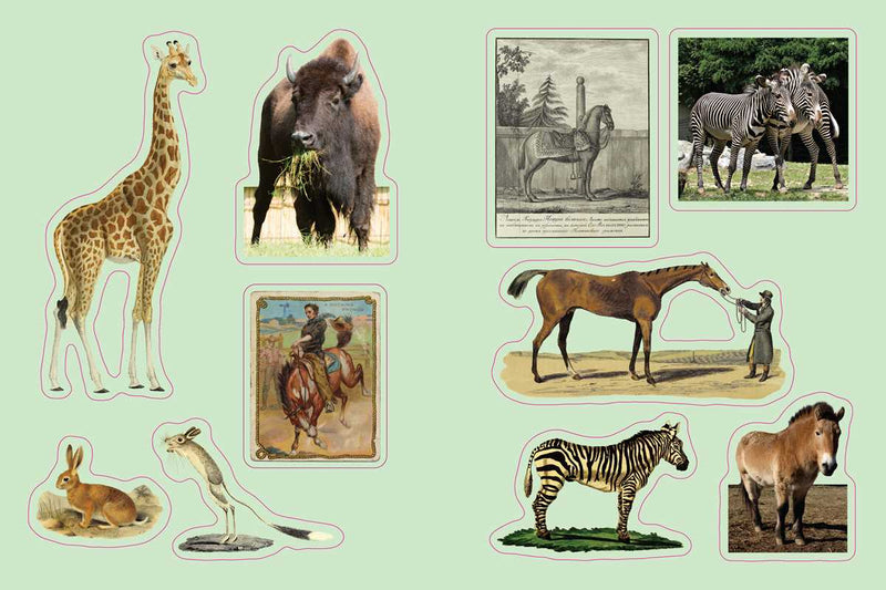 Cabinet of Curiosities by Smithsonian Institution