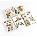 Pepin Correspondence Sets: Impressionism