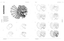 How to Draw Dinosaurs, a Step by Step Guide
