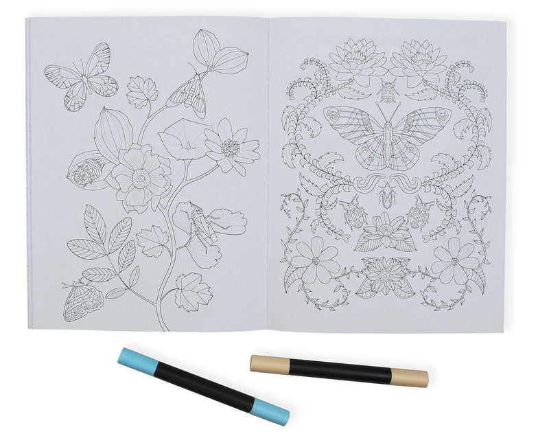 Wonderful Insects Coloring Book