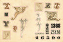 Cabinet of Curiosities by Smithsonian Institution
