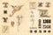 Cabinet of Curiosities by Smithsonian Institution