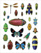 Christopher Marley's Incredible Insects Sticker Book