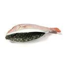 Wrapables Novelty Fish Style Pencil Case: Red