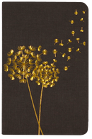Jotter Mini Notebook Set: Dandelion Wishes