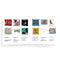 Basquiat Colors Board Book