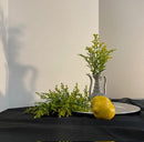 02.22.2026 Introduction to Freehand Sketching