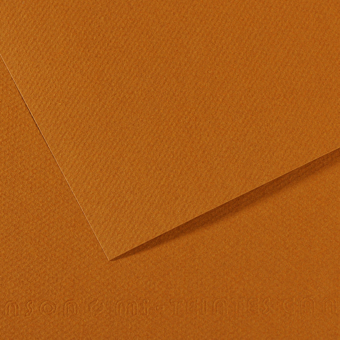 Canson Mi-Teintes Pastel Paper Sheets