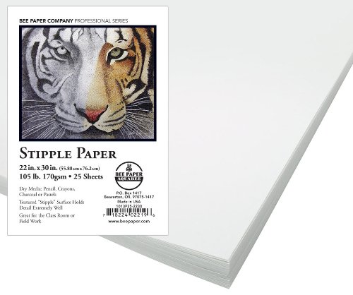 Bee Paper Stipple Paper 9x12