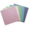 Canson Mi-Teintes Paper Sheets