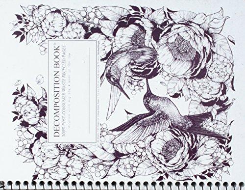 Decomposition Notebook Hummingbirds