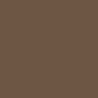 Createx Wicked Detail Raw Umber