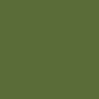Daler Rowney FW Acrylic Ink Olive Green