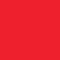 Daler Rowney FW Acrylic Ink Fluorescent Red 1oz - Nevada Fine Arts